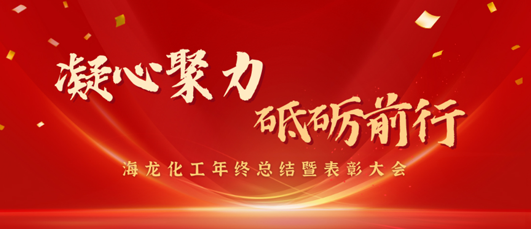 表彰 | 凝心聚力，砥礪前行，海龍化工年終總結(jié)暨表彰大會(huì)圓滿舉行